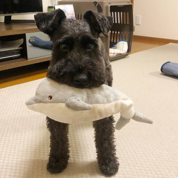 D14356df f173 48a7 921d 71272a8cf730 1631918453597