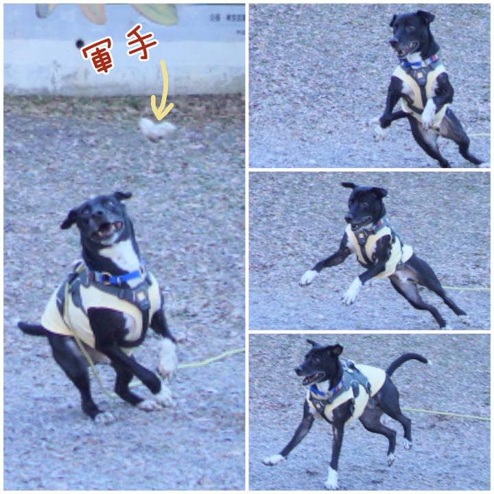 D1437771 1691 4a99 b820 1df1716f7881 1642640757007