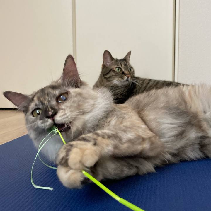 D14391a1 eb58 448f beba 4c6dea8c3a6e 1717816044409