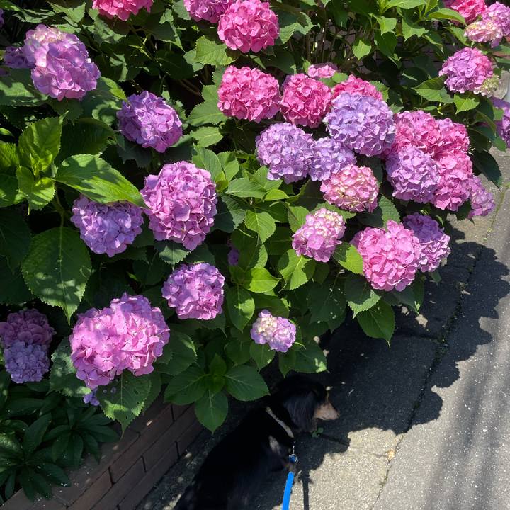 D1439a20 defe 4738 b364 0a4dc0d9ec0a 1686134720324