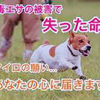 D143a6fa 3907 4c7c ace5 32c9984247d9 1617275415120