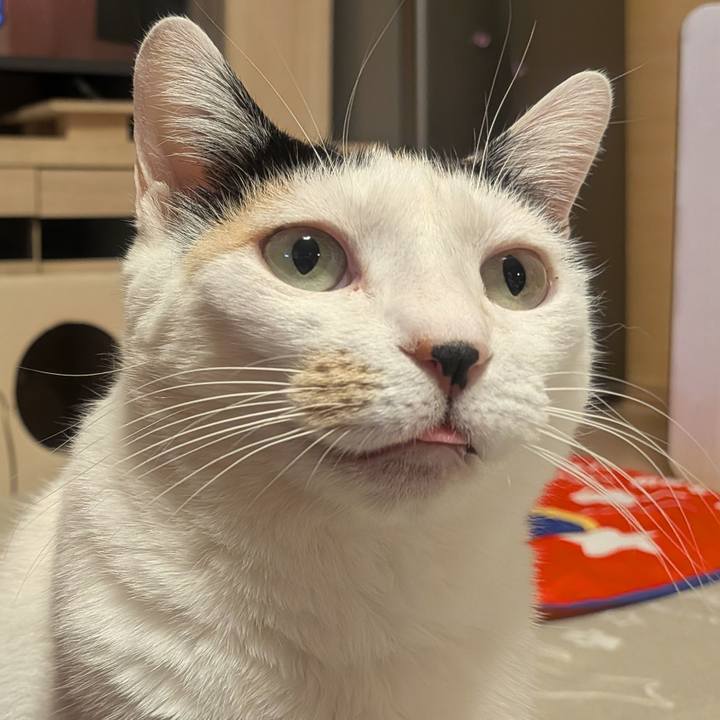 D143ac6c 2aff 4663 81bf 8be7c7533930 1769774374045