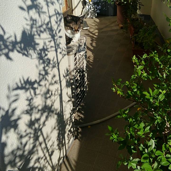 D143cee2 fbdb 43b0 99e3 0b7dc215844f 1510014070450