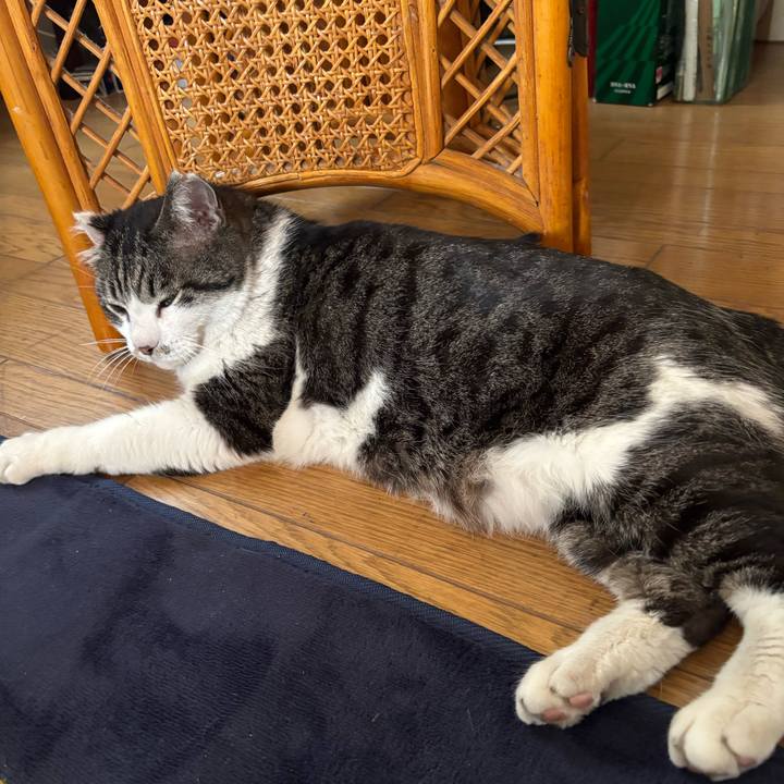 D143f86e 26f1 4d2a 87a9 a58d396fba79 1742967494315