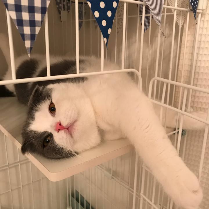 D14426a1 fbf8 4008 b3d7 f79eb79fcf16 1525569486550