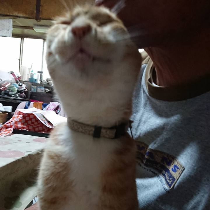 D14441bf 6537 4616 91e7 af29cac8acf4 1593464959995