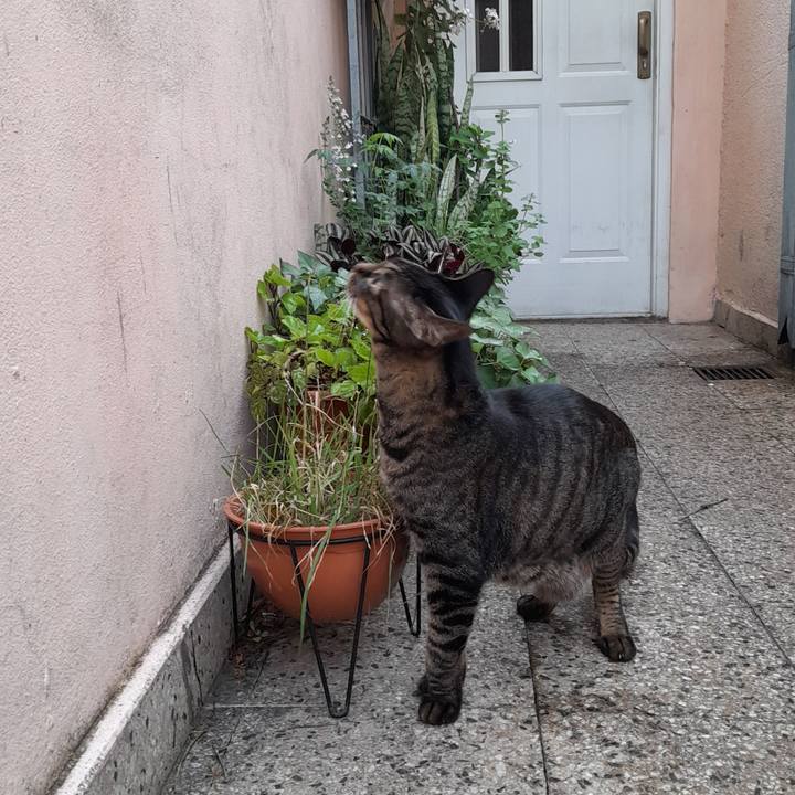 D14475fc 8479 466e 9323 5550bed14bba 1764587462155