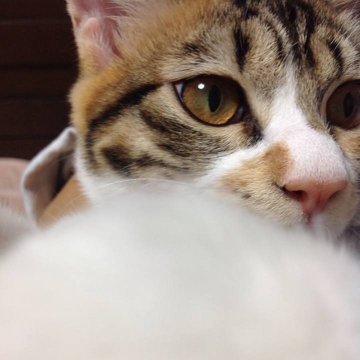 D1447922 b2fa 40c5 a4e9 aad7cc8c31cc 1634293692306