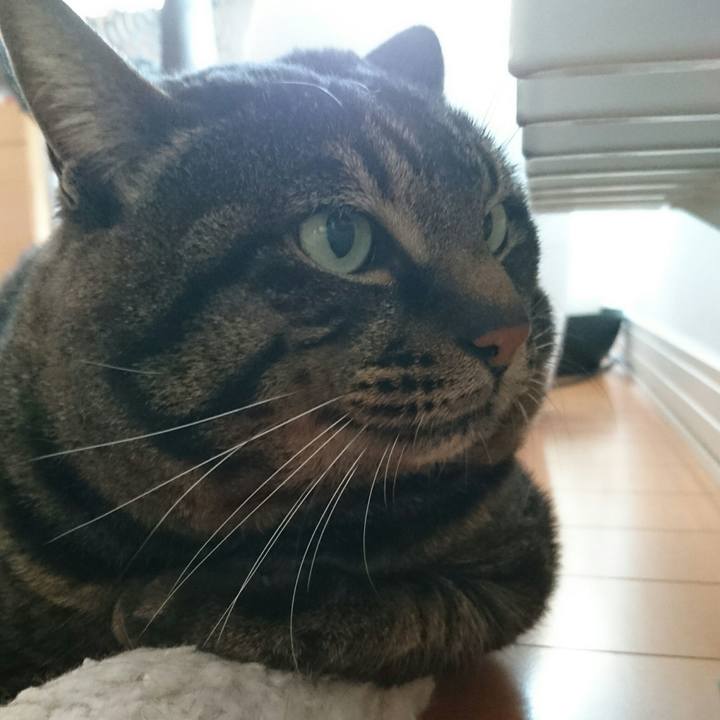 D144914d f11d 4cc6 86db 92262adcd692 1513318484409