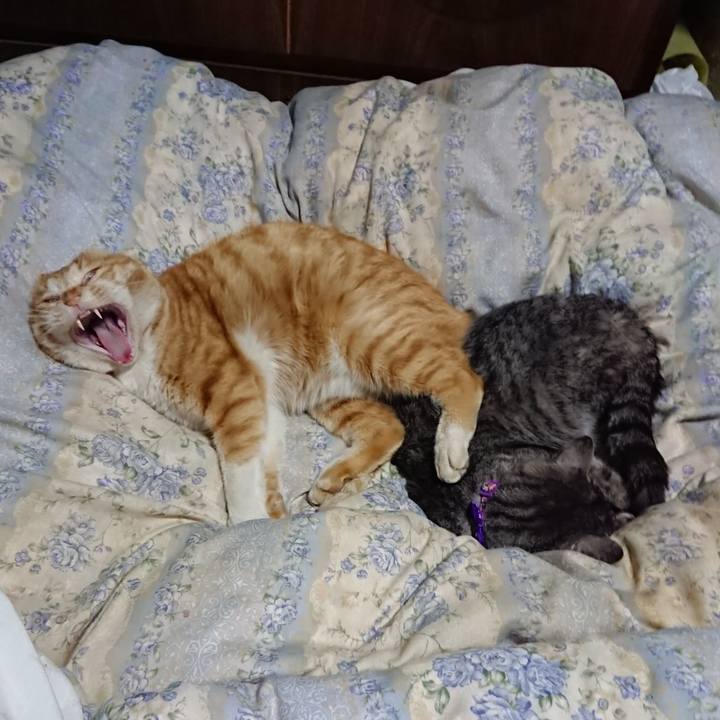 D144a1b2 1a09 498f 8e2d aa10d1706cec 1581775447690