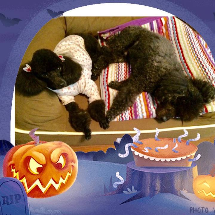 D144a730 3c98 45e1 9977 349df0663a27 1572312016592