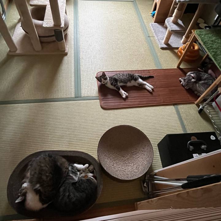 D144a82c b7dd 4c5f 80e3 974e54f6a9d0 1769234964881