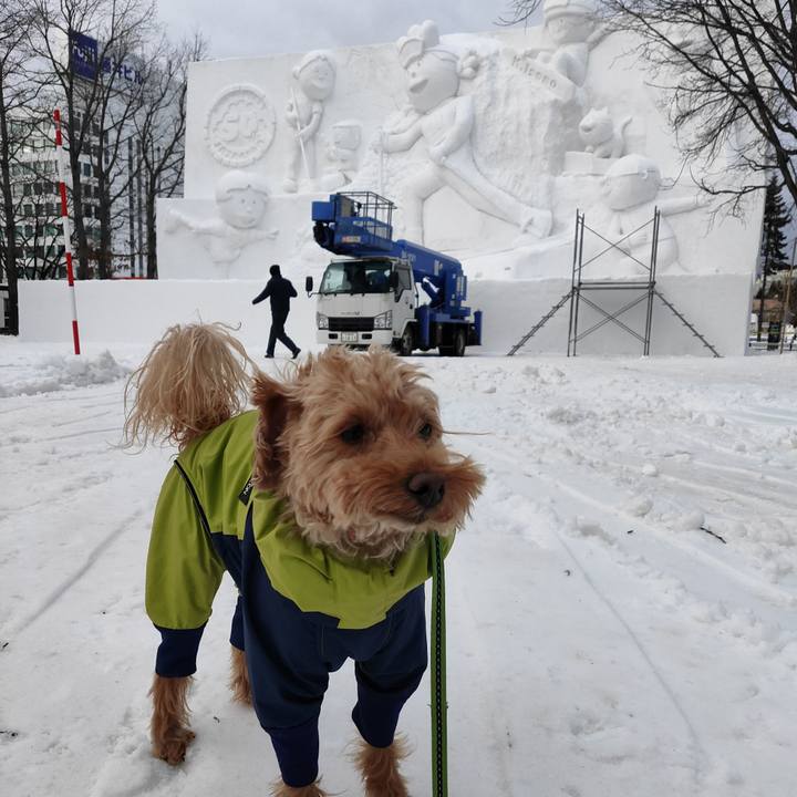 D144bbc2 871a 4a80 8621 4e5362c35793 1580517346575