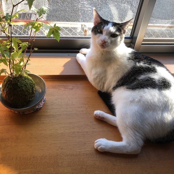 D144e2c9 3515 4eee 8365 ff8711ef2bab 1633735732937