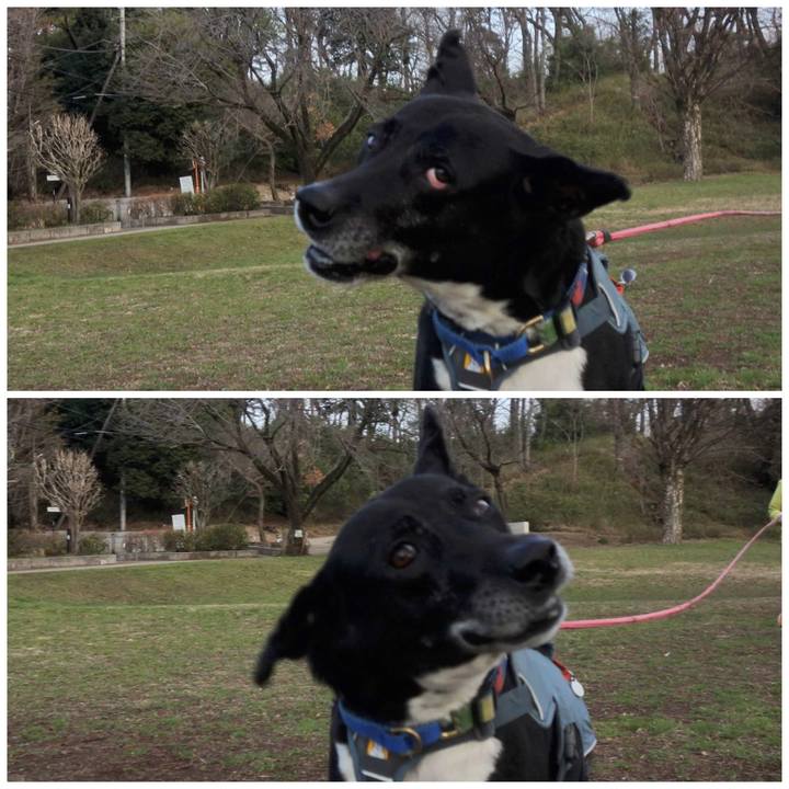 D1450dbe 0dd2 4a34 a1d4 cf067b28b230 1710637547224