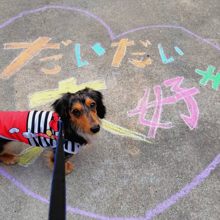 D1450f27 294b 44bd b9bb e6b46491d550 1745652847052