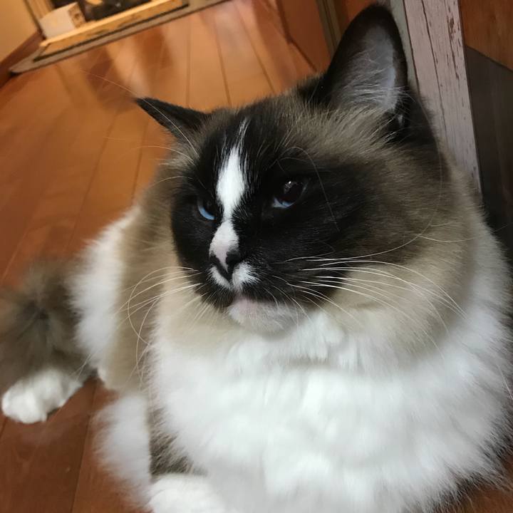 D14519d5 73a9 4d1f 91a1 97ae383a20c5 1521383597004