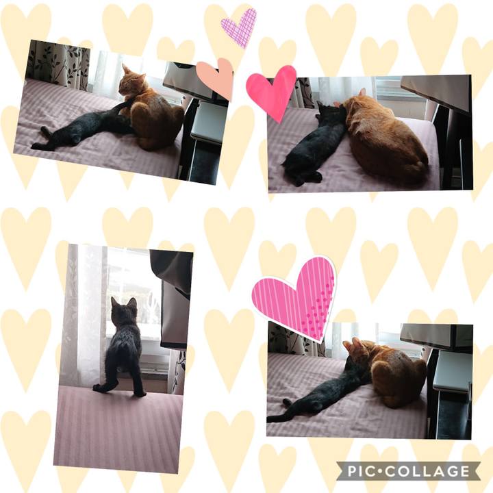 D1451fd9 52c6 4075 84a2 d7ee683b413d 1595656785856