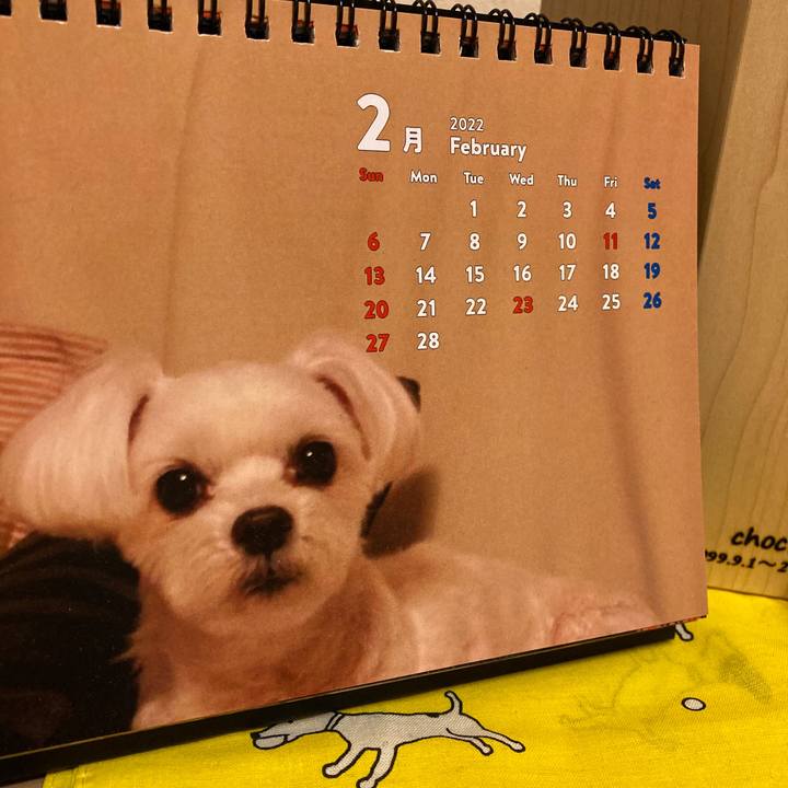 D1452658 2b6a 4fa4 96fd 65dc6dbbfc13 1646051909272