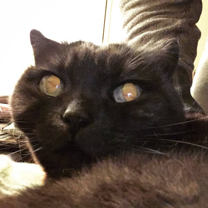 D1457421 5c74 4540 8bf2 f53c83505431 1524502646658