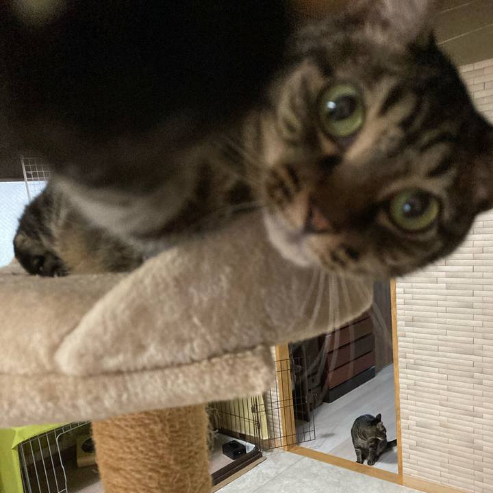 D1459657 639d 4330 96d9 faf364f442dc 1661986675303