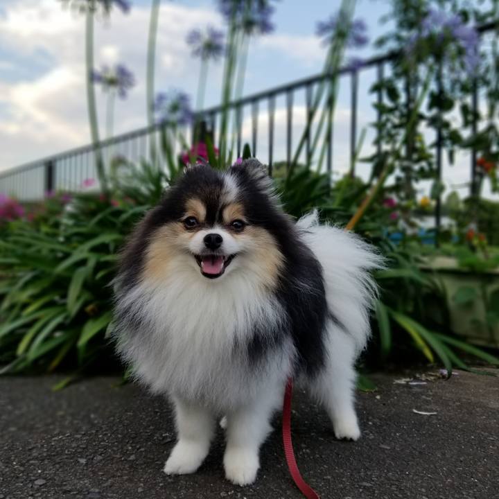 D145aba2 e30a 47ba 98e1 a83abb5183a4 1593960532309