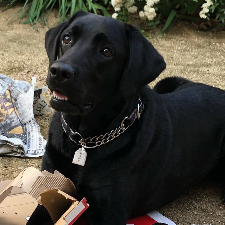 D145e62c 2c88 4de9 bcc1 e74997f87fbb 1557011906790