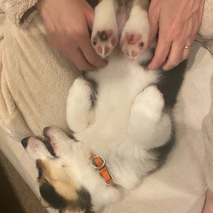 D145f165 41c6 4cf0 b0e7 353a4dd9d6ea 1770300157618