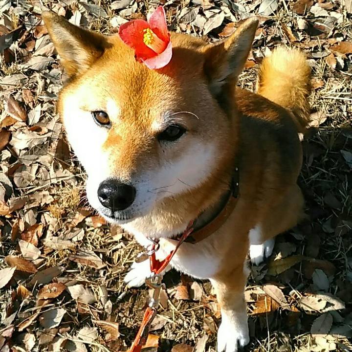 D145f7cc e51a 40c1 a1f3 e2ba79768cd2 1551746834934