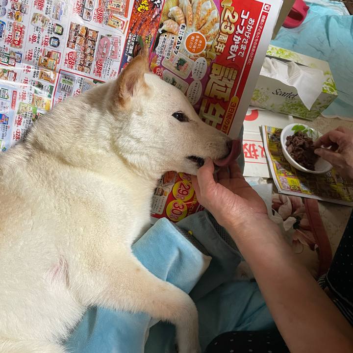 D1460779 ae75 4d70 8e1d c0a16edba081 1659967345478