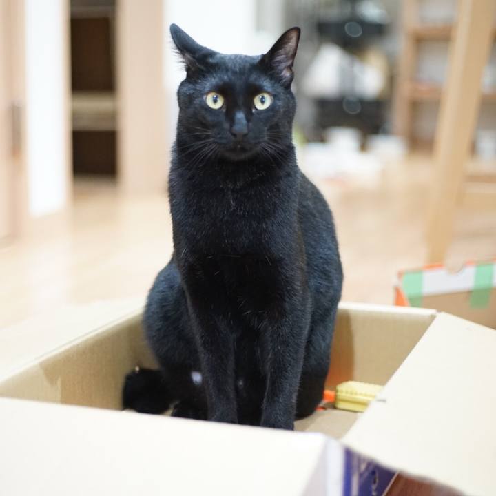 D1462428 6754 4fbb a788 5eecd82c1d78 1528672791443