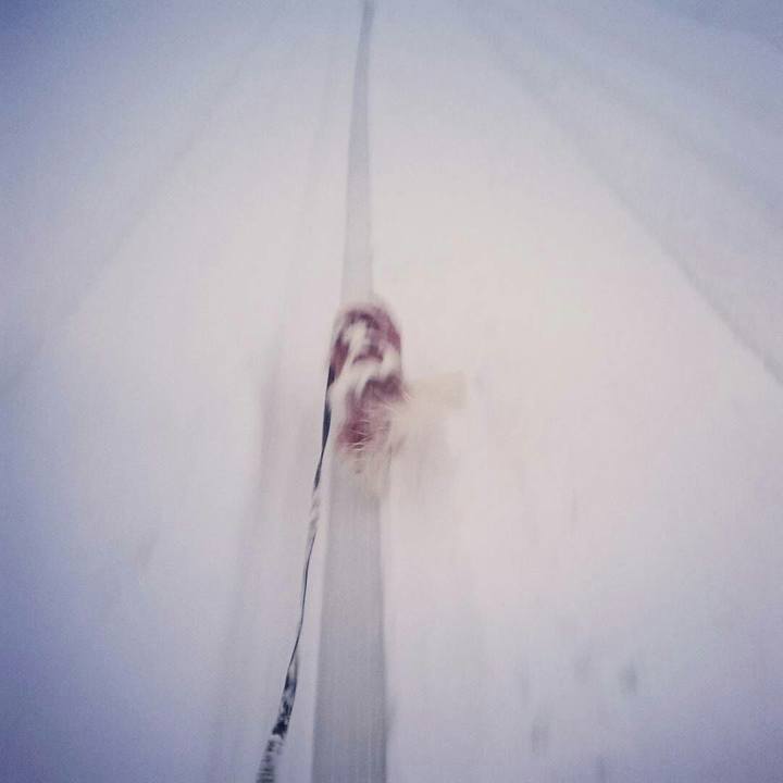 D1462d87 f23d 4850 b8fb b5c3c8bffc83 1513065358471