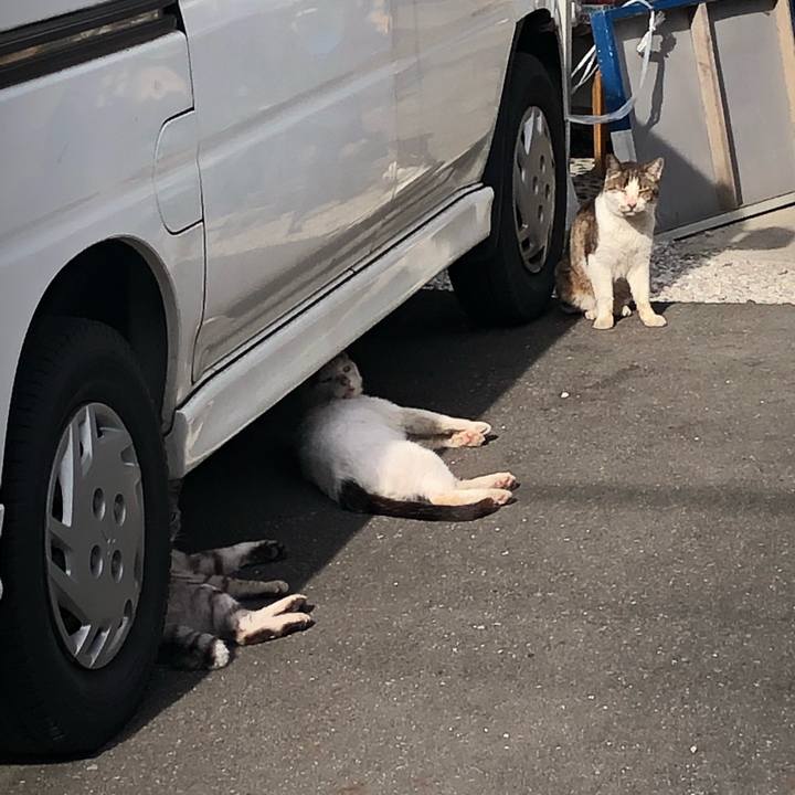 D1463233 5fcb 4051 ae95 7ab1bfe73e41 1647722961997