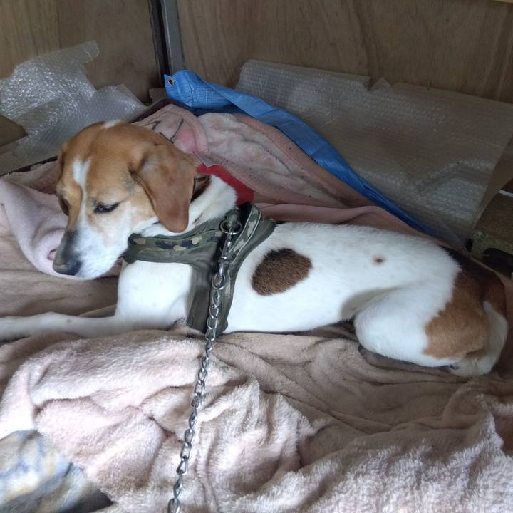 D1464609 2f5f 44bf adf7 225acb280511 1685348071530