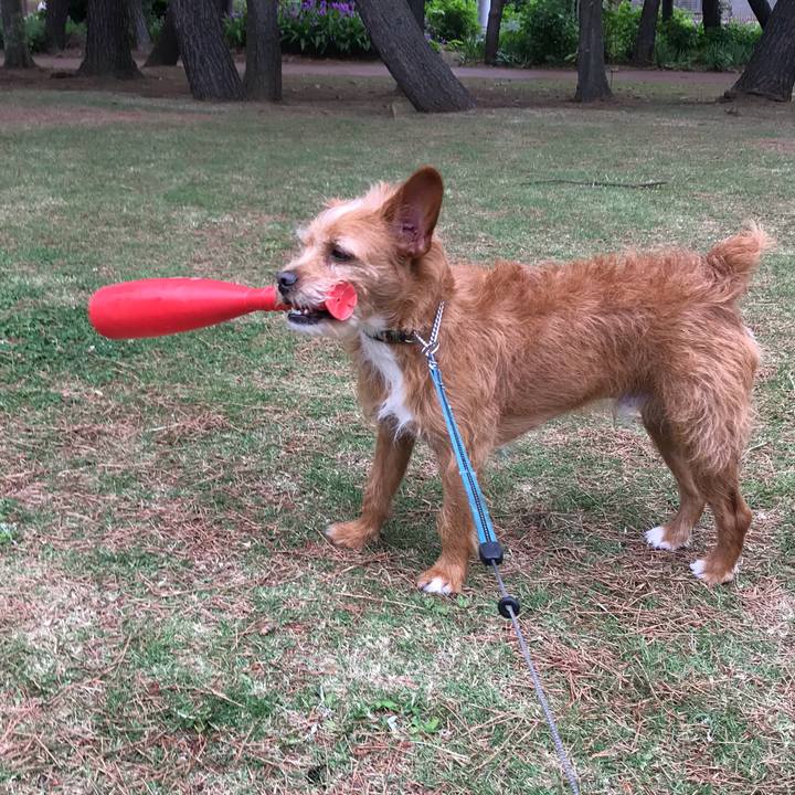 D1468704 fdb9 4fbd b446 9f3edc78222c 1589762461207