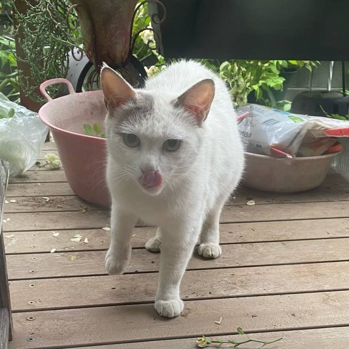 D1469e18 6695 407c b100 c1b2a35e8e97 1621377126646