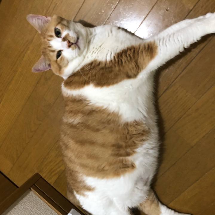 D146fb36 6874 42a5 8636 503369f2e9f4 1559104181777