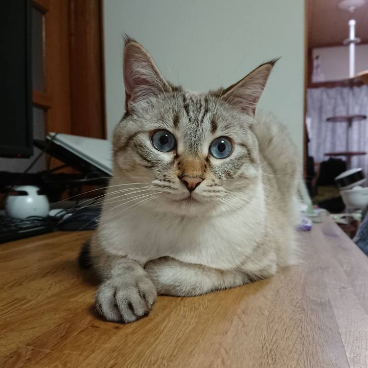 D1470ced adc1 44c6 9666 d5a3a1eafebc 1599652555492