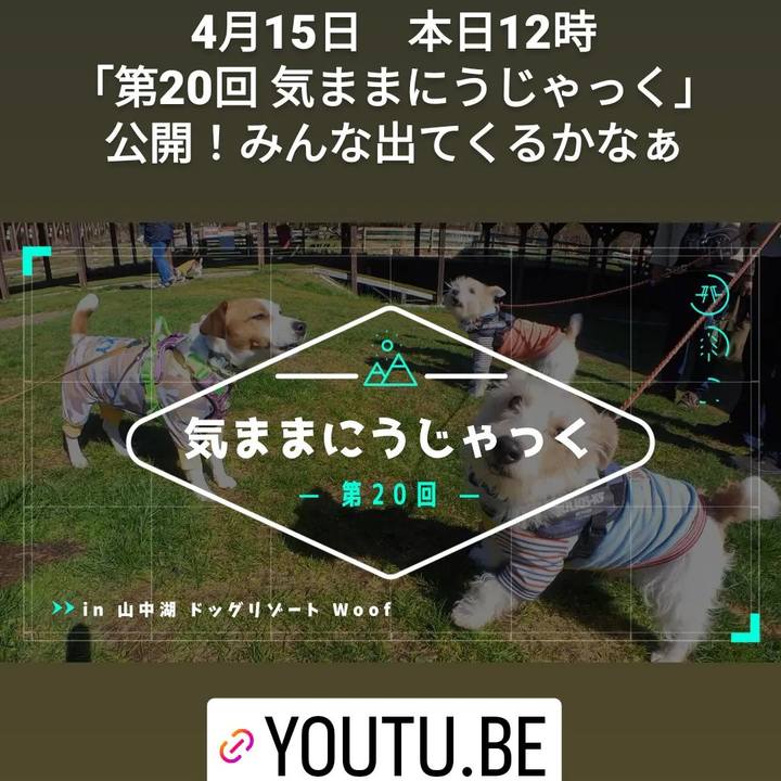 D1471e0b 5a76 4d8e 9787 3116efcb1856 1681552673943