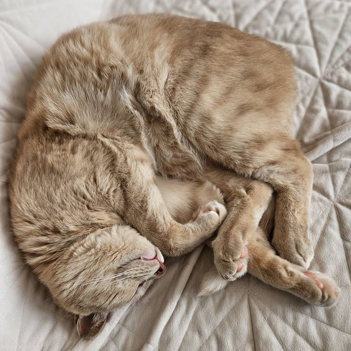 D1472eb6 21e1 46be b7ed 682d0940b6aa 1694309434485