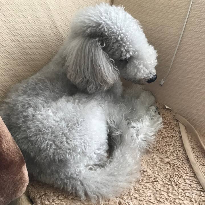 D1478d8c 35eb 4683 b948 09b5269b38bb 1663936288414