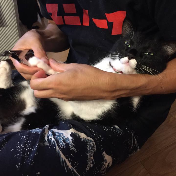 D1479658 c3a2 41fb a5e2 48442f0f6057 1534952222284