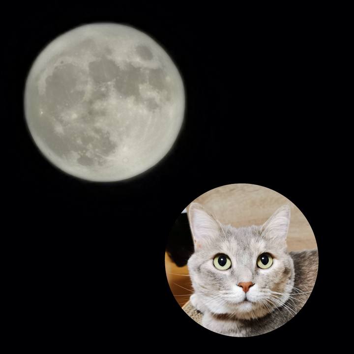 D147bdff ba55 4660 95ab 124d86b61dee 1632270326508