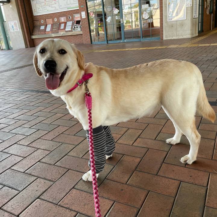 D147be0f e7f6 4797 902b a1daf768f1c3 1633564811531