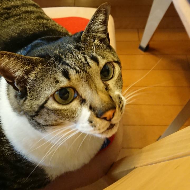 D147d28b 41fa 46fa 94f3 47a0d41444c0 1520312310175