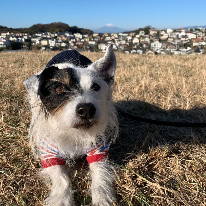 D1480df6 2b1e 45c1 bb24 a08f5735b18f 1703550326028