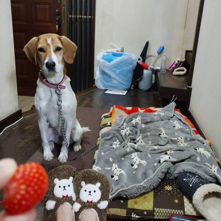 D148c34b 0024 434f b14c fb4cd0c81623 1580817010949