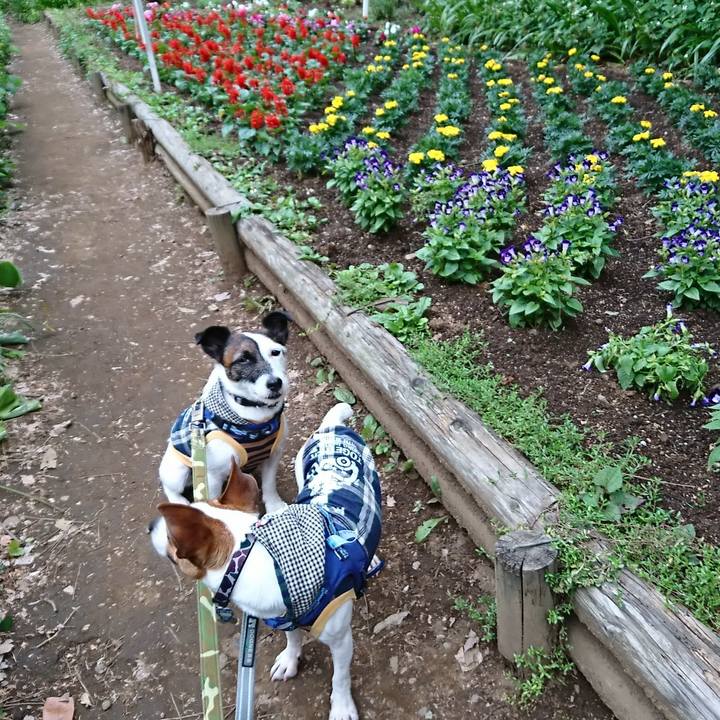 D148e7b6 8ddc 46f3 8118 88219b43f62a 1527336945326