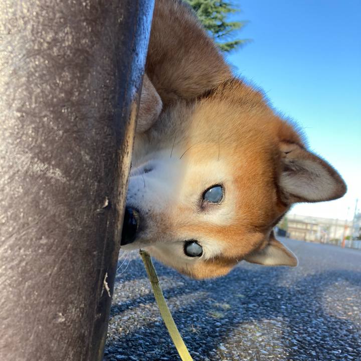 D1494fed d708 414b a81f 9a795a92197e 1700263827016