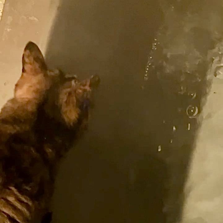 D1497c36 8a57 4137 8f7b fb14c5ce0097 1735499612114